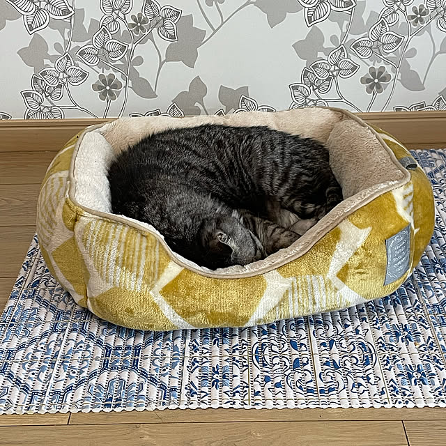 sachiさんの実例写真