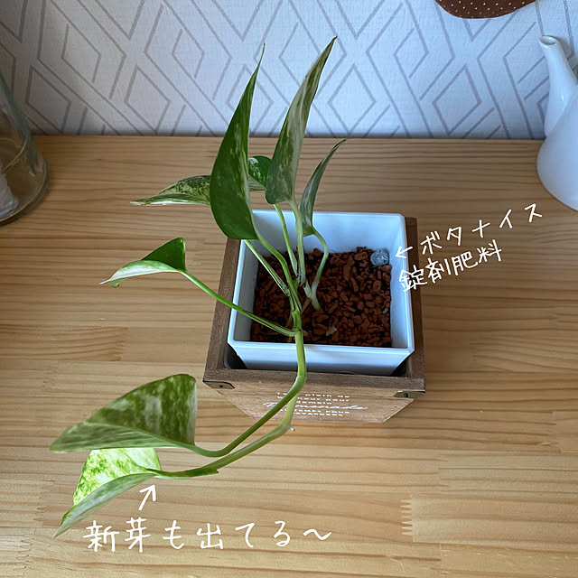 tanboさんの実例写真