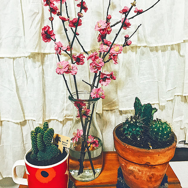 love.coさんの実例写真