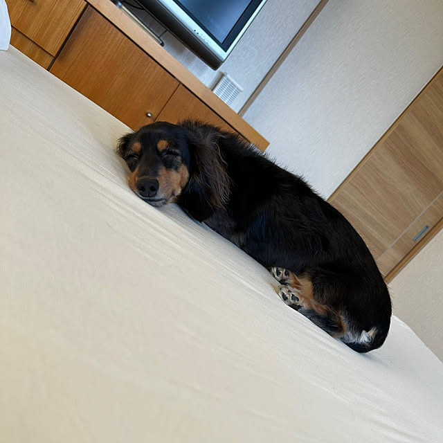 TOMOさんの実例写真