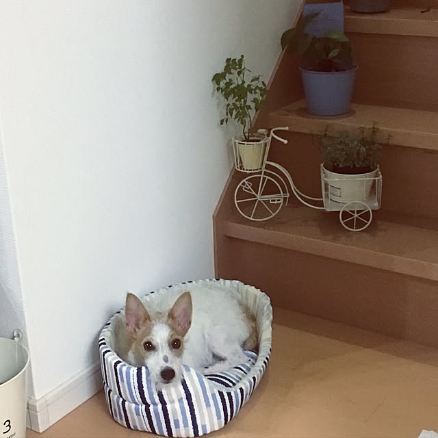 JRTさんの実例写真