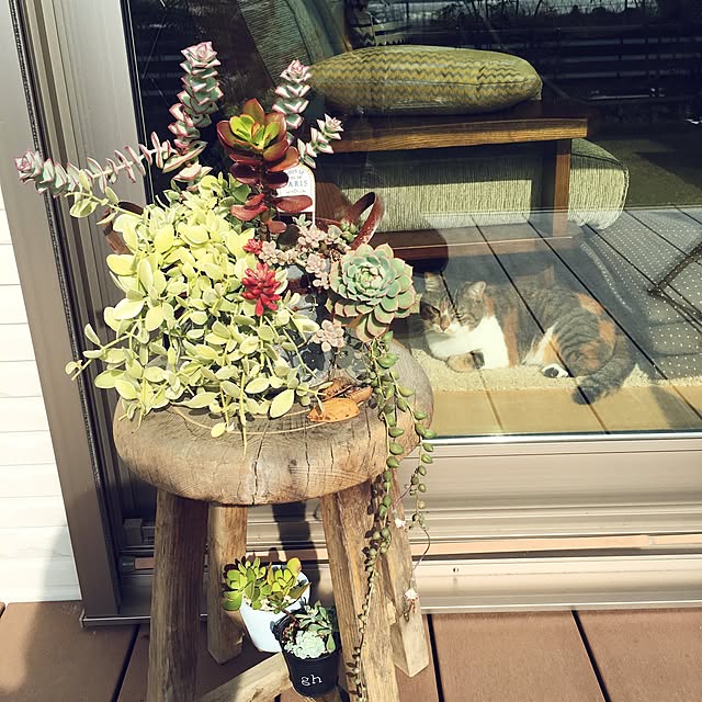 miyo419さんの実例写真