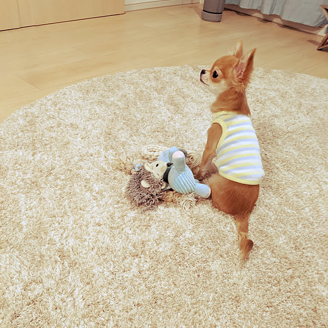 hikoさんの実例写真