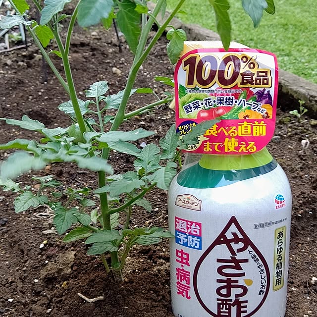 Ri-さんの実例写真