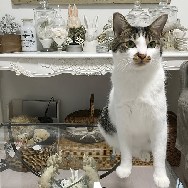 yuchiさんの実例写真