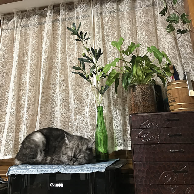 Marinさんの実例写真