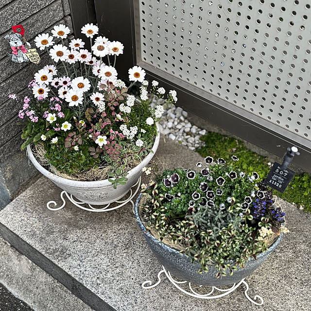 maayaさんの部屋