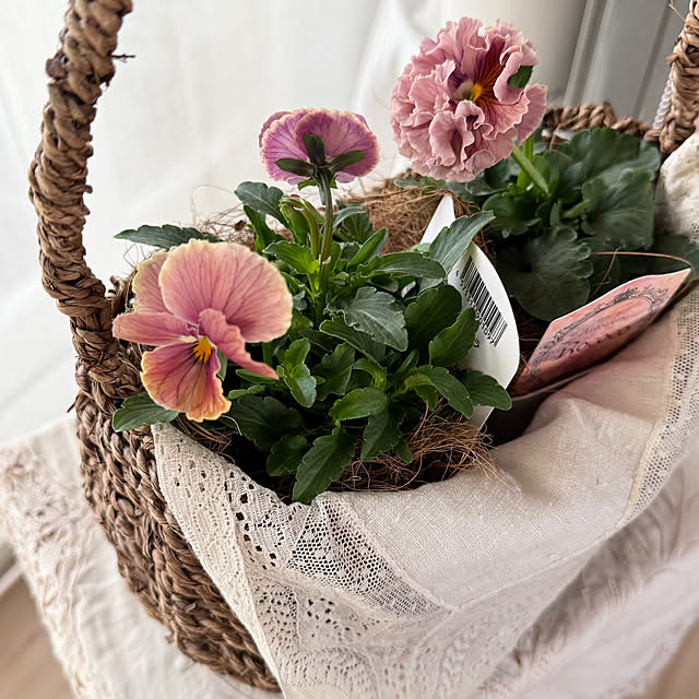 Chigusaさんの実例写真