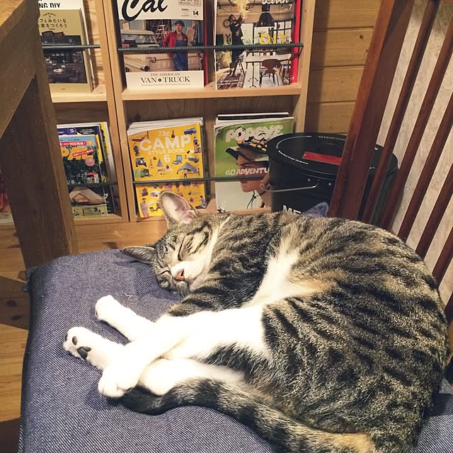 takammyさんの実例写真