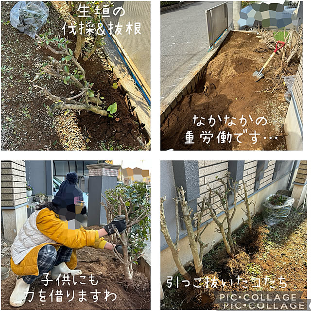 kaerunoameriさんの部屋