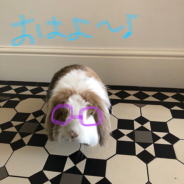 naokoomuraさんの実例写真
