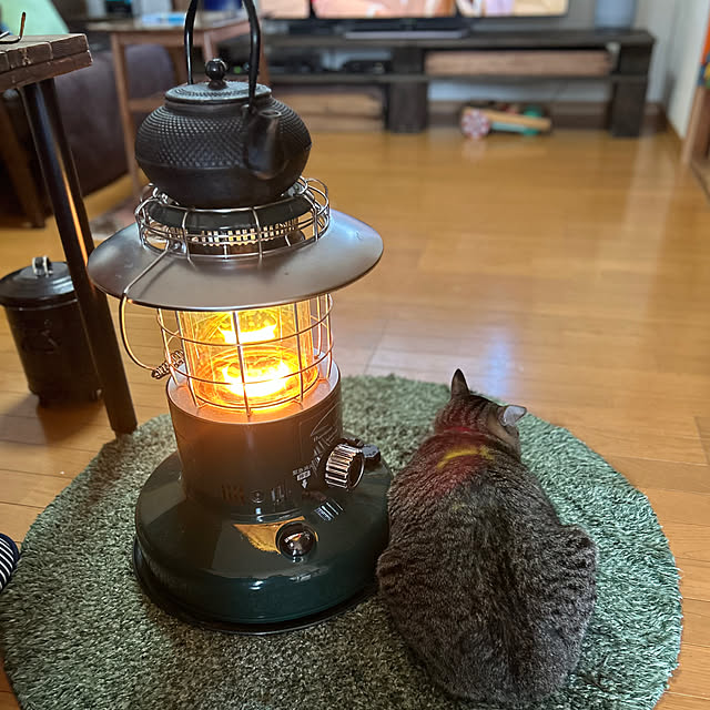 mikan161さんの実例写真