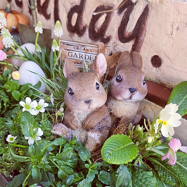 mocomocoさんの部屋