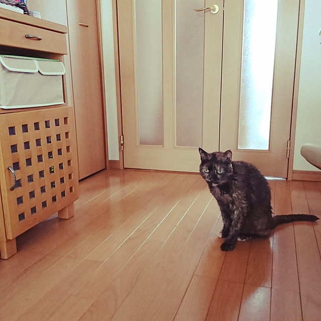 H23さんの実例写真