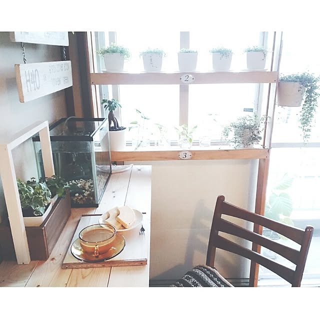 miporin0711さんの実例写真