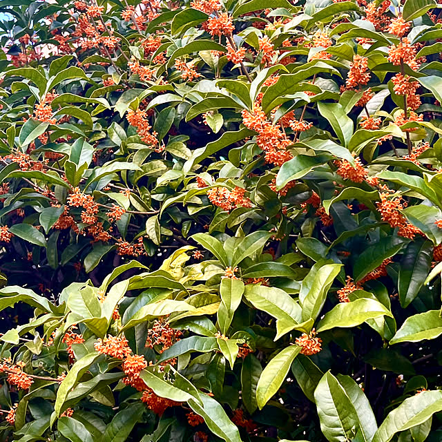 yottanさんの部屋