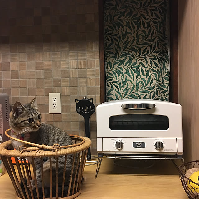 shigimiさんの実例写真