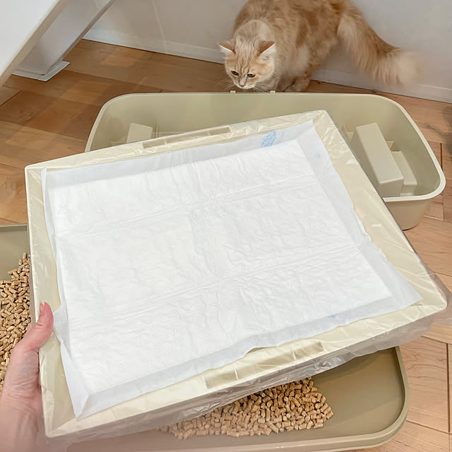 kさんの部屋