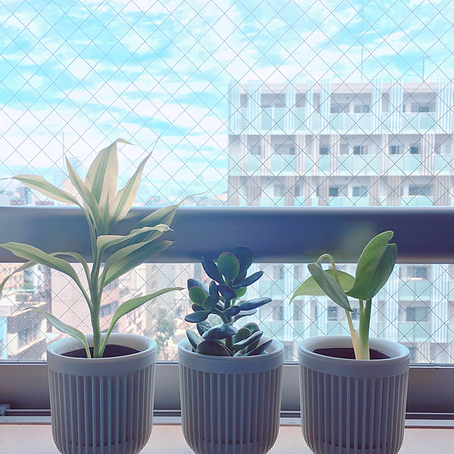 raduさんの実例写真