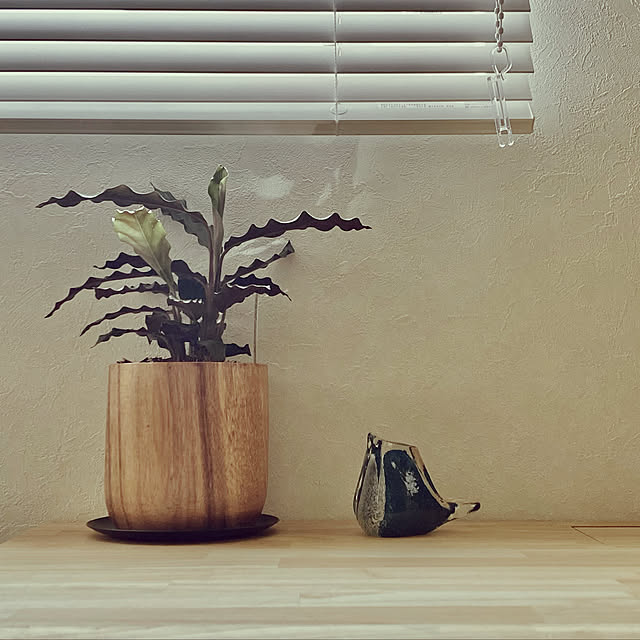 mipさんの実例写真