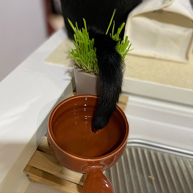 naturalさんの実例写真