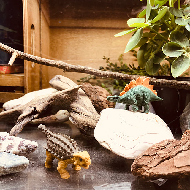 soramameさんの実例写真