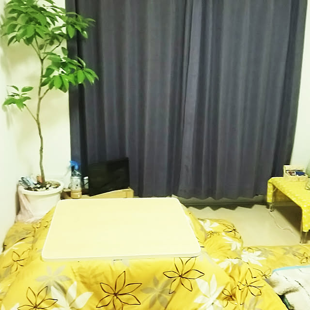 sata0228さんの実例写真