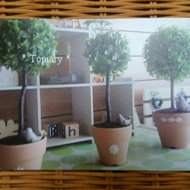 hempさんの実例写真
