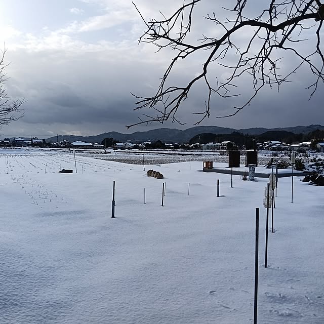 sumimarumiさんの部屋