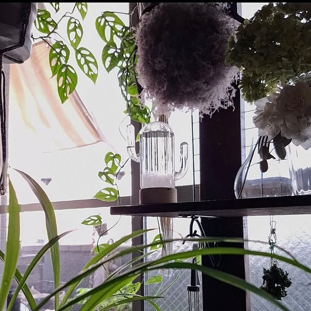 noaさんの実例写真