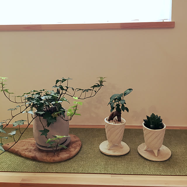 t.kさんの実例写真