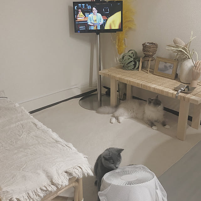 r______asさんの実例写真