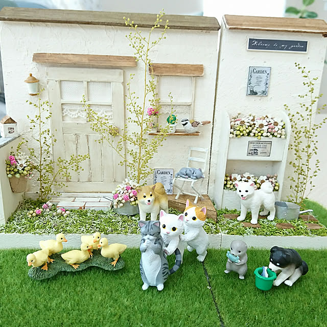 PAOさんの実例写真
