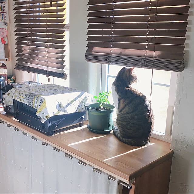 yurari.bonnさんの実例写真