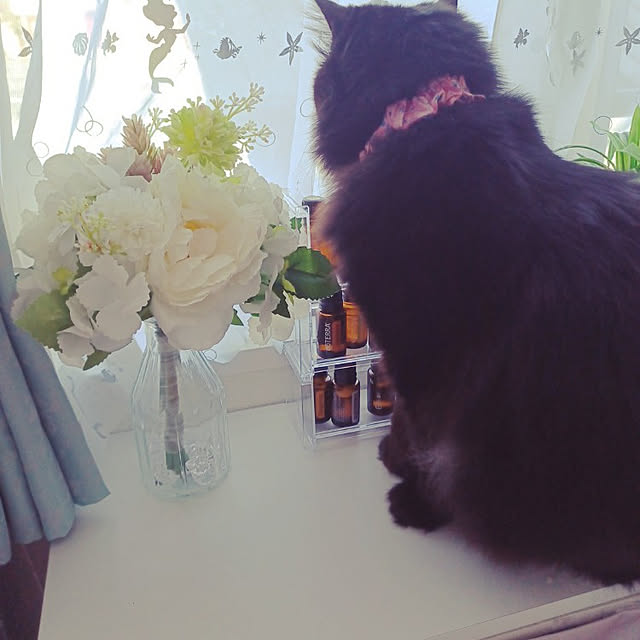 miyuさんの実例写真