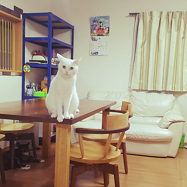 h-a-ri.mamaさんの実例写真