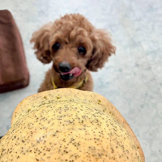 MOMOMAMAさんの実例写真