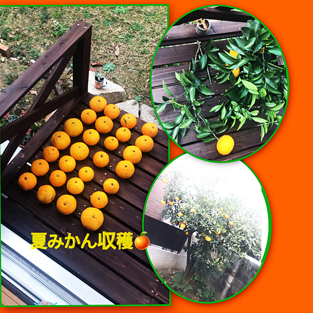 rizumu4649さんの実例写真