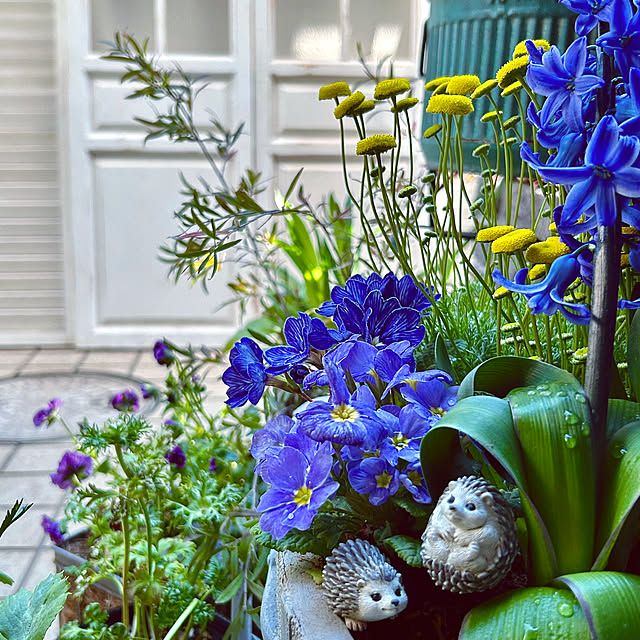 DAYONEさんの実例写真