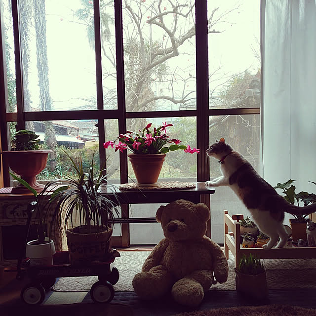 fukuさんの実例写真