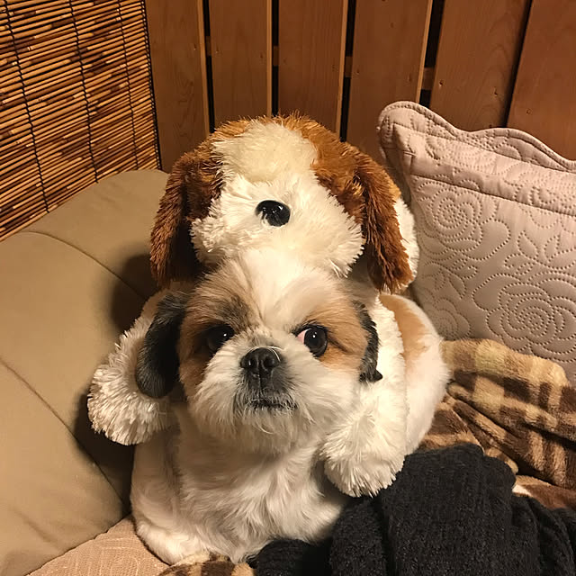 Miyokoさんの実例写真