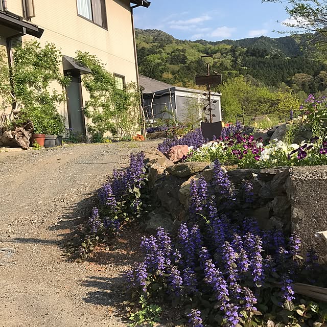 pepeさんの実例写真