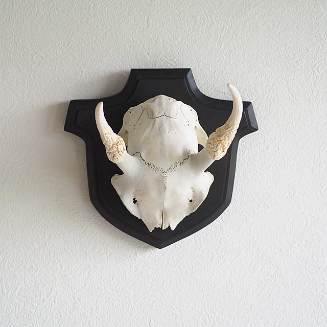 Akiy15さんの実例写真