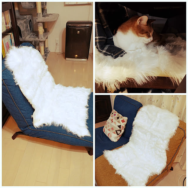 suisaiさんの実例写真