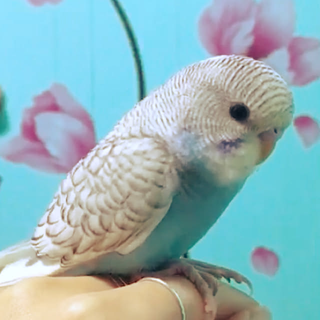 73heyさんの実例写真