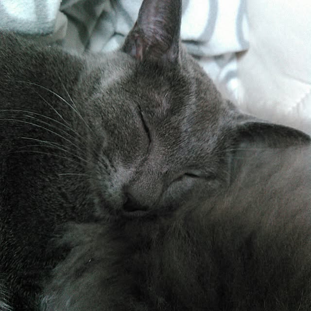 mochiさんの実例写真