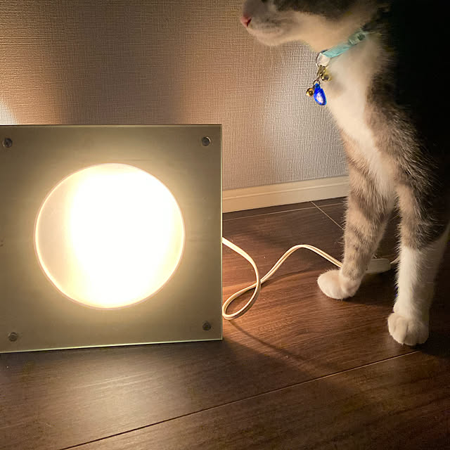 moさんの実例写真