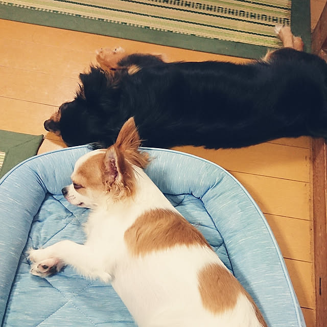 hiro-yさんの実例写真