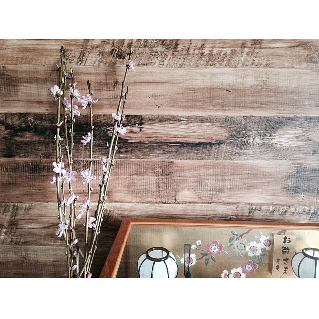 aknb08さんの実例写真