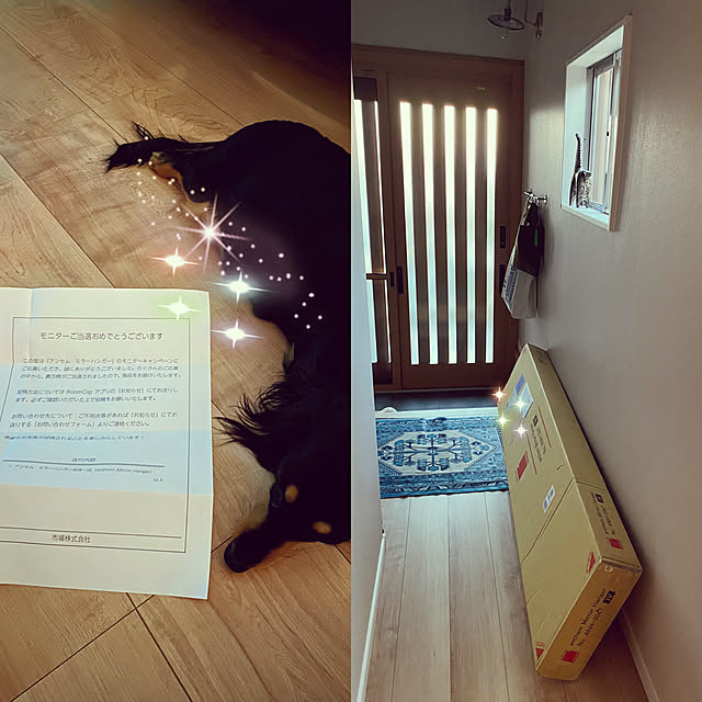 uninekoさんの実例写真
